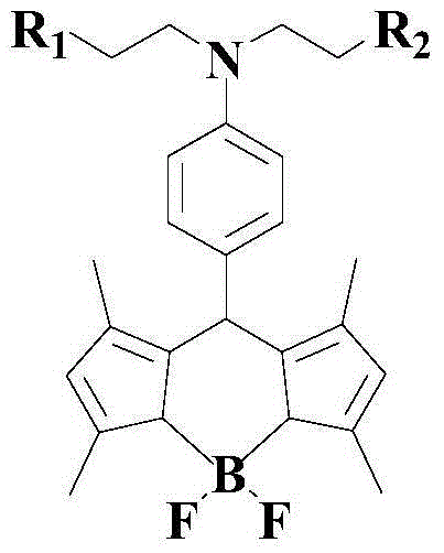 Novel pH-responsive fluorescent molecular probe and preparation method thereof