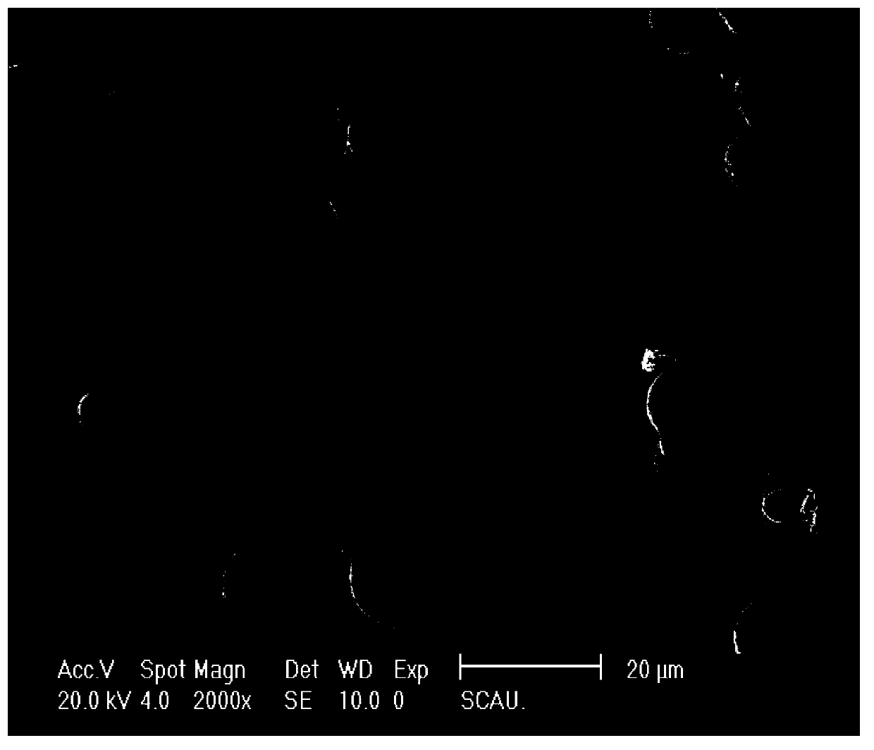 Blumea oil composite microcapsule, preparation method thereof and multifunctional textile preparation method