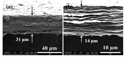 Method for preparing reduced graphene oxide heat conductive film