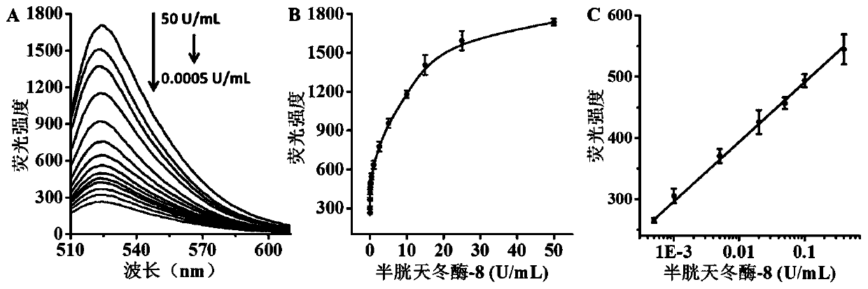 Caspase biosensor, application thereof and detection method of caspase activity