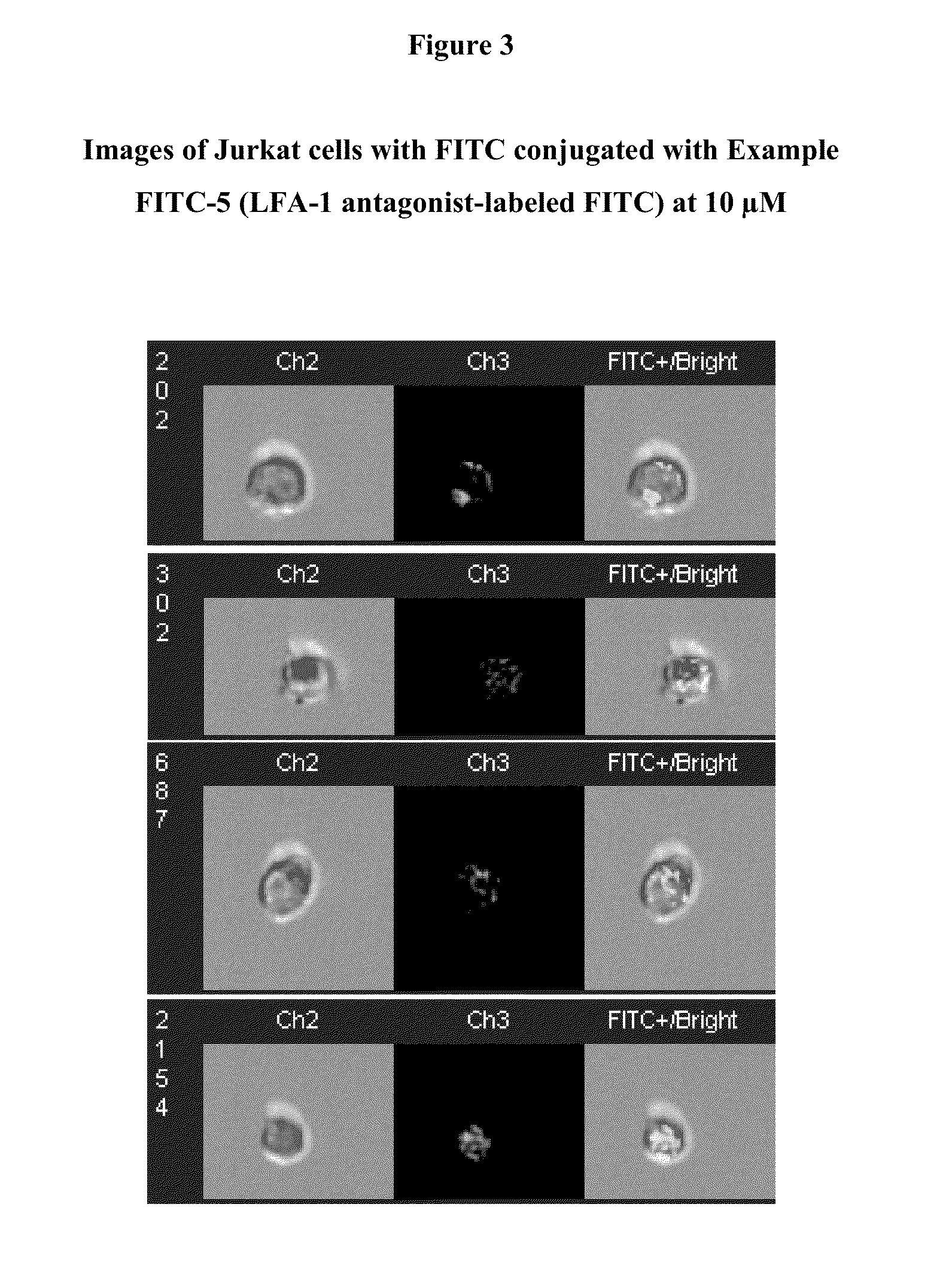 Integrin antagonist conjugates for targeted delivery to cells expressing lfa-1