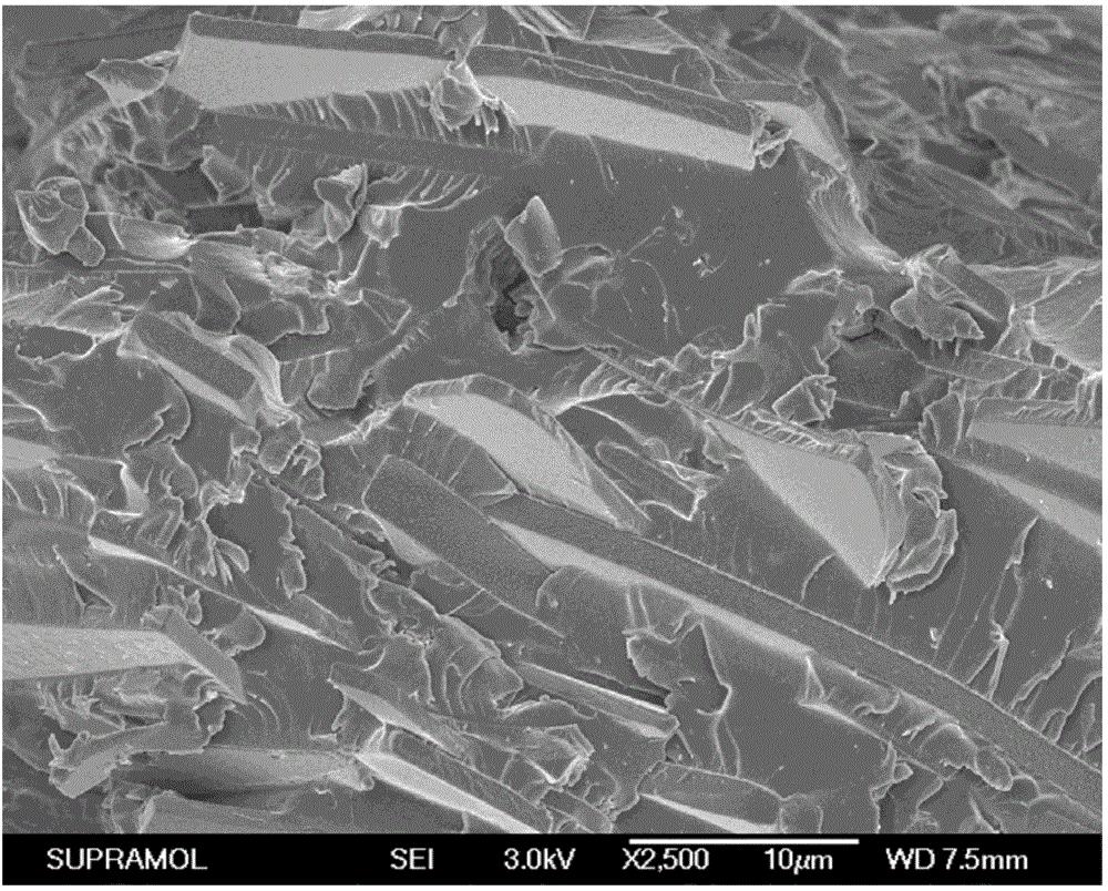 Light-cured composite resin based on laminar filler and preparation method of light-cured composite resin