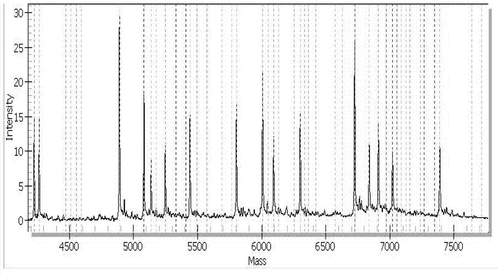 High-sensitivity method used for detecting and identifying human coronavirus