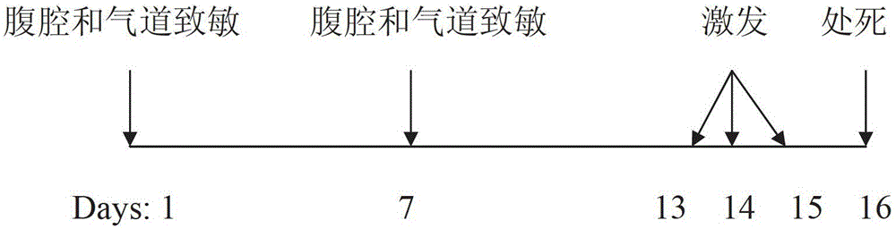 Method for constructing asthma model of nonhuman mammal