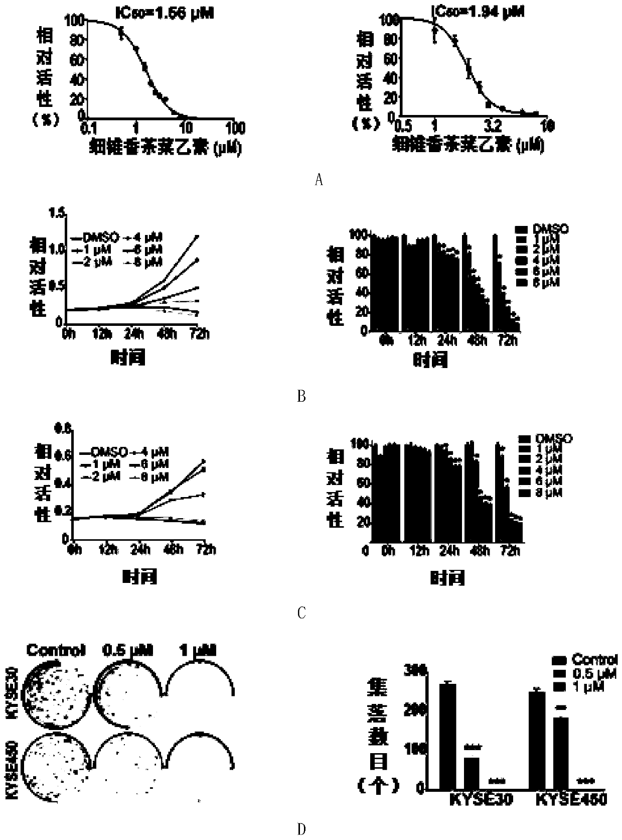 Application of saponin B in the preparation of products inhibiting the proliferation of esophageal squamous cell carcinoma cells