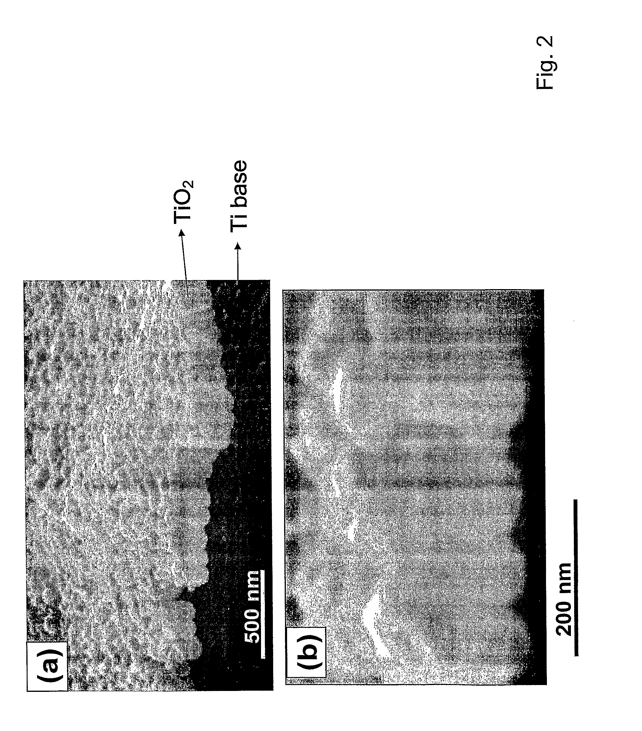 Compositions comprising nanostructures for cell, tissue and artificial organ growth, and methods for making and using same