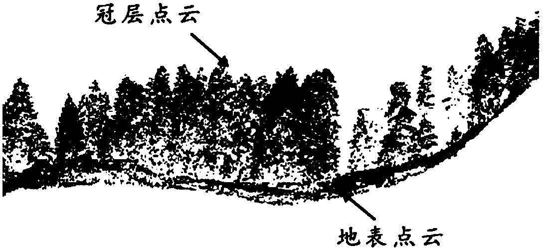 Forest gap solar radiation monitoring method based on laser radar