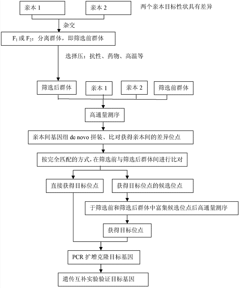 Method for microbe gene clone