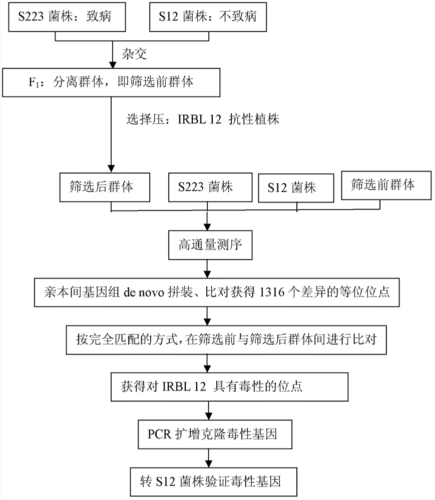 Method for microbe gene clone