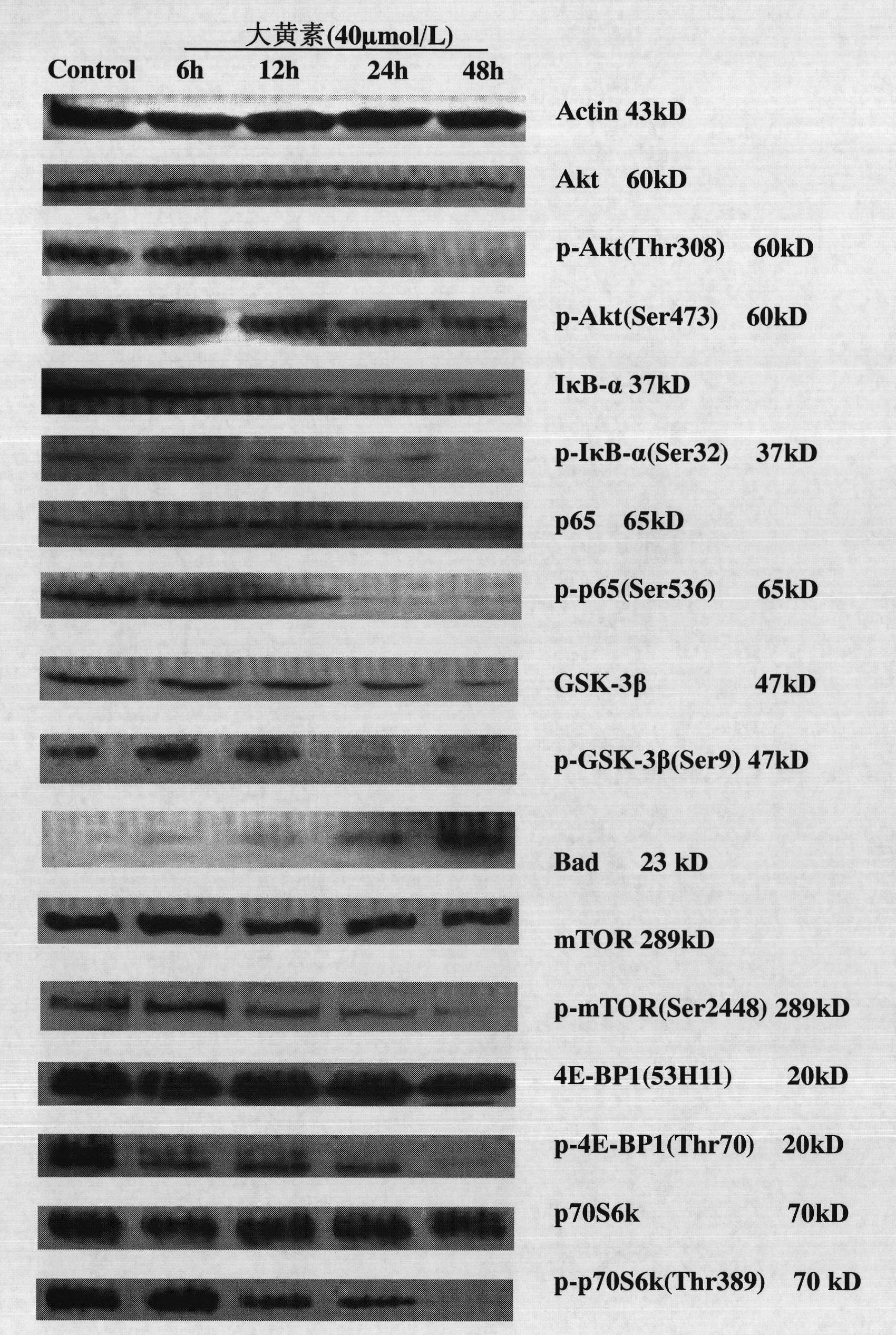 Emodin as inhibitor of activated molecules p-Akt and p-mTOR of PI3K/Akt/mTOR signal transduction pathway and application thereof