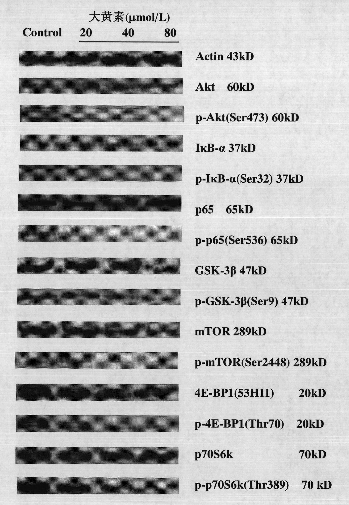 Emodin as inhibitor of activated molecules p-Akt and p-mTOR of PI3K/Akt/mTOR signal transduction pathway and application thereof