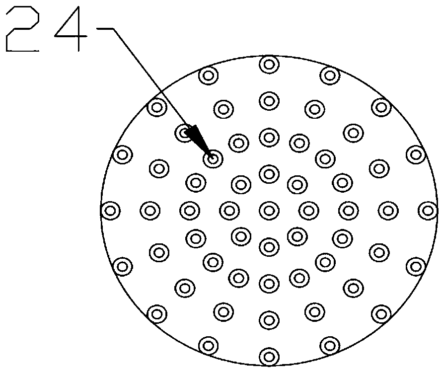 Insecticide mixing and spraying device for municipal gardens