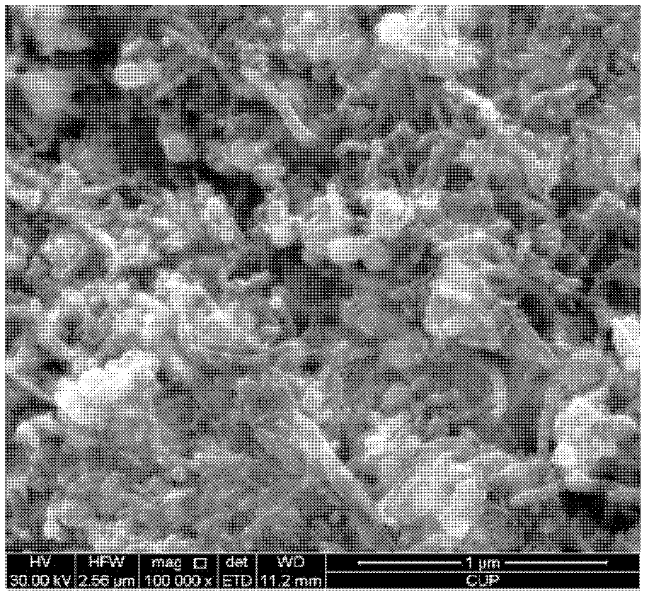 Electromagnetic shielding material for electroless cobalt plating of modified carbon nanotubes and preparation method of electromagnetic shielding material