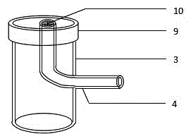 Oral incubation fish ovum picking-up device and method