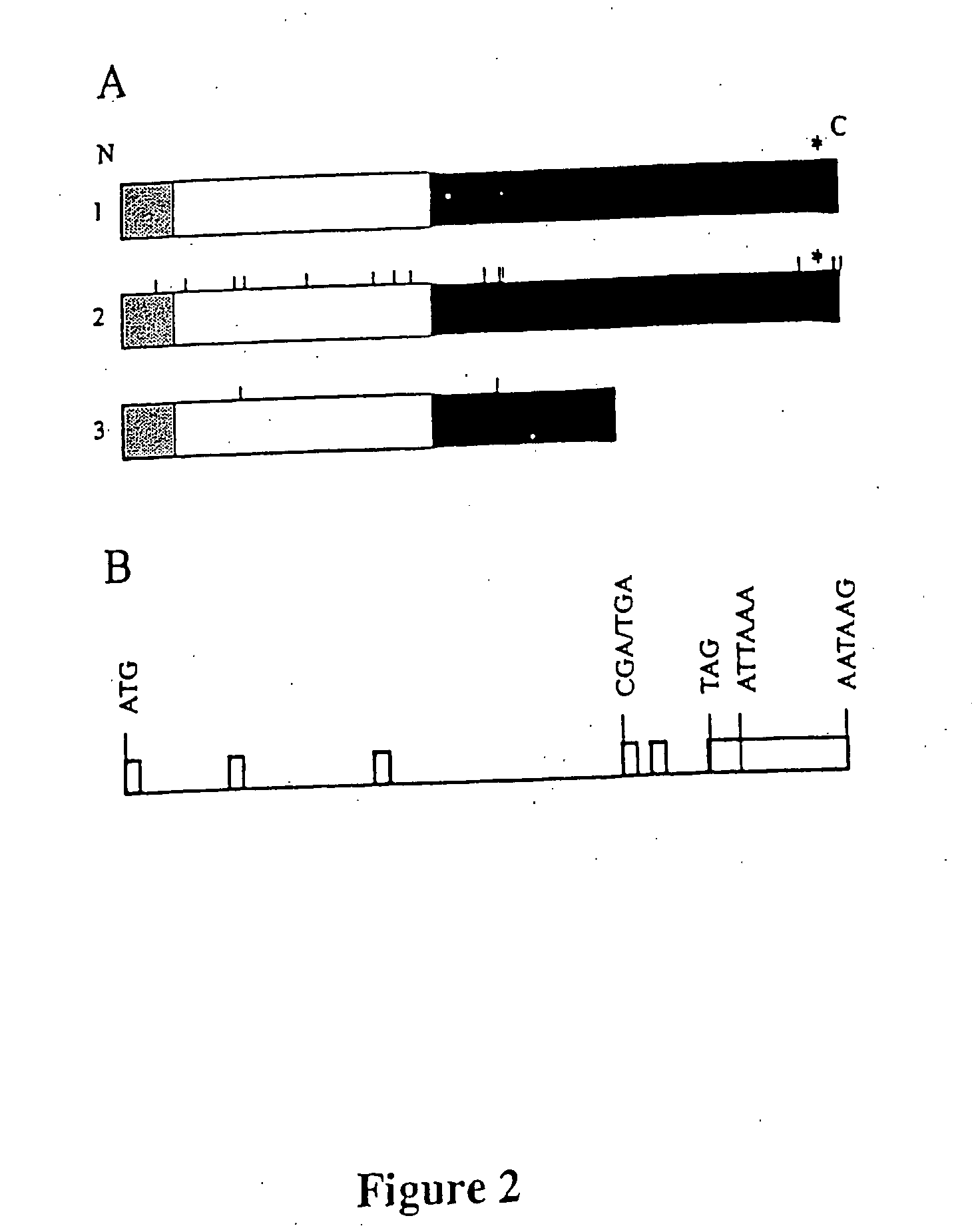 Compositions and methods for viral resistance genes