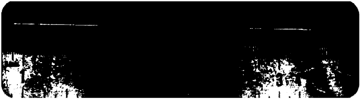 Hafnium oxide single crystal optical fiber as well as preparation method and application thereof