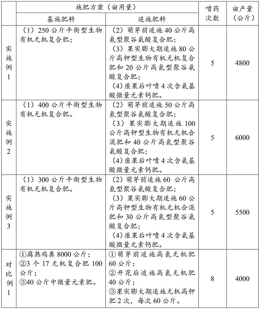 High-quality and high-yield fertilization technology for winter jujube tree cultivation