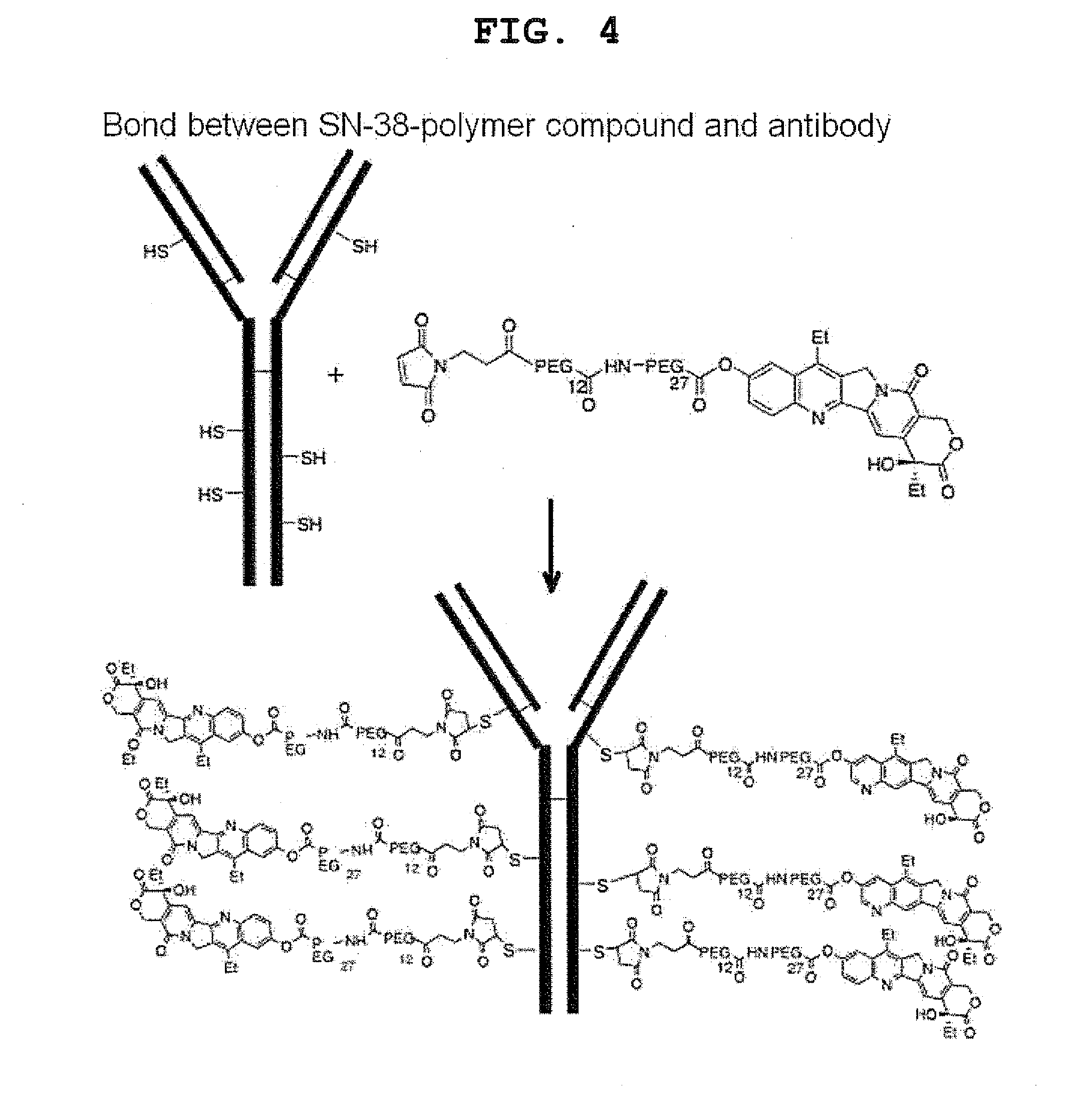 Novel cancer targeting therapy using complex of subtance capable of binding specifically to constituent factor of cancer stroma and Anti-tumor compound