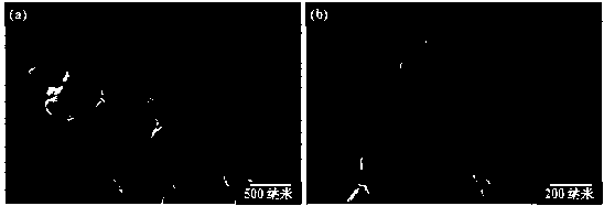 Preparation method and application of a lithium-ion battery negative electrode material based on photovoltaic silicon waste