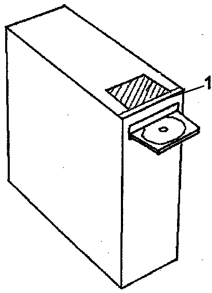 Electronic transparent casing