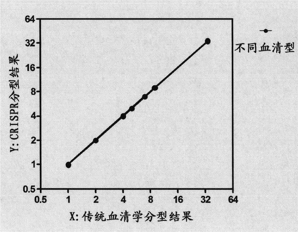 Salmonella CRISPR (clustered regularlay interspaced short palindromic repeats) sequencing typing method