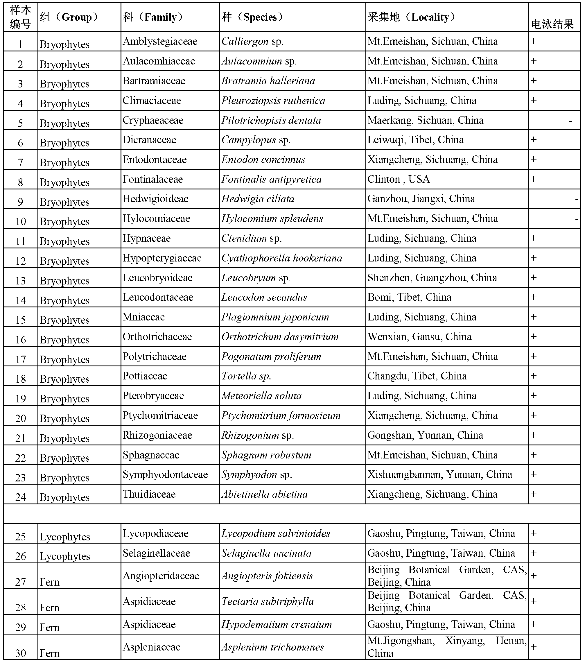 Specific primer pair based on rbcL gene and used for identifying land plant species and application thereof