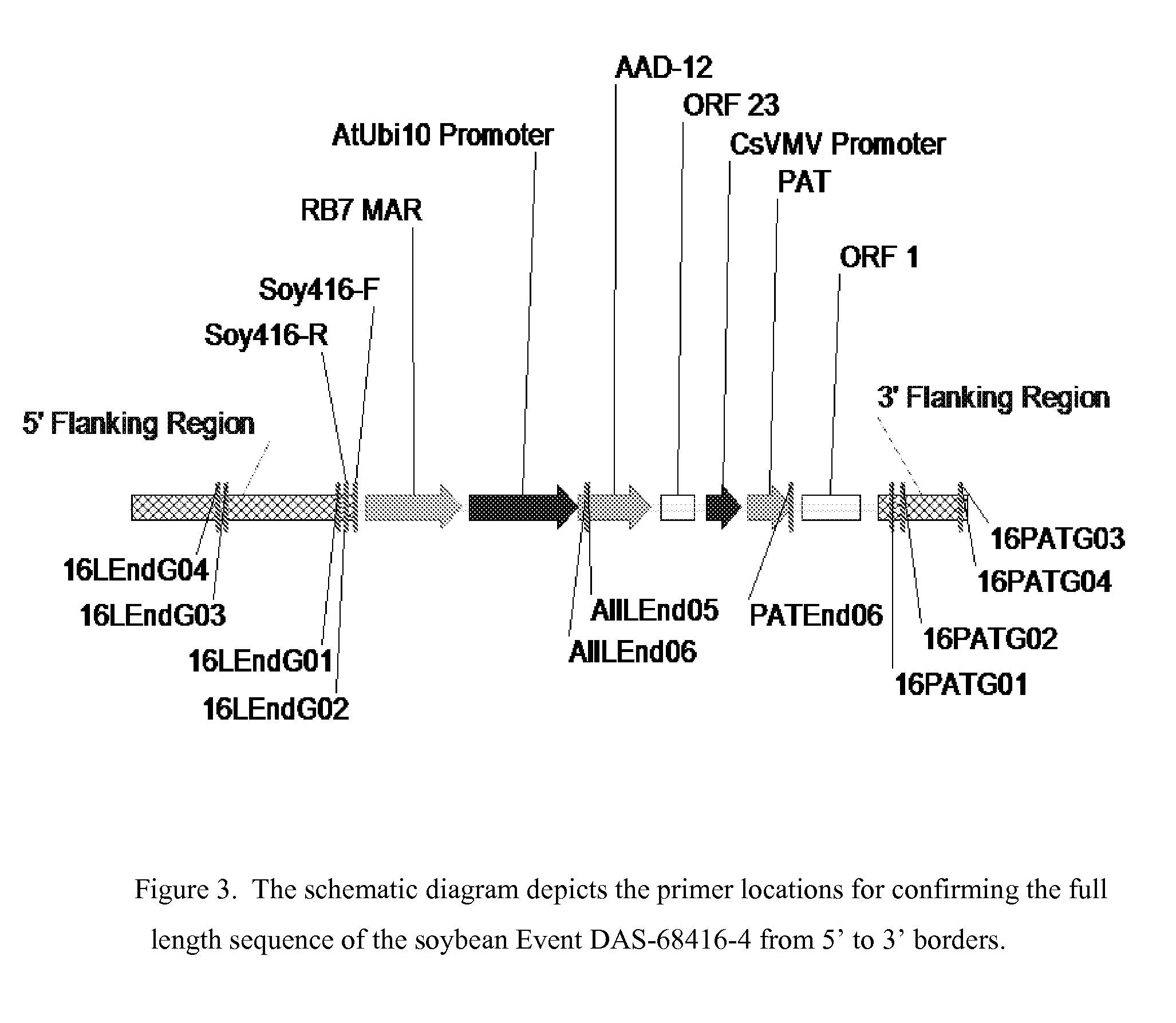 Detection of AAD-12 soybean event 416