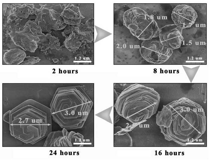 SnS2 microsphere SERS substrate with capillary effect as well as preparation method and application of SnS2 microsphere SERS substrate