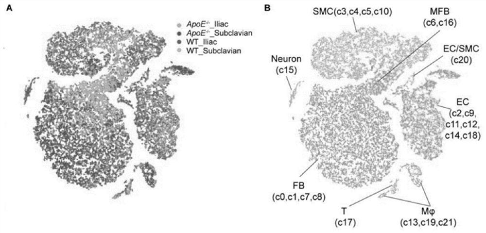 Atherosclerosis-related cell marker molecules and their applications