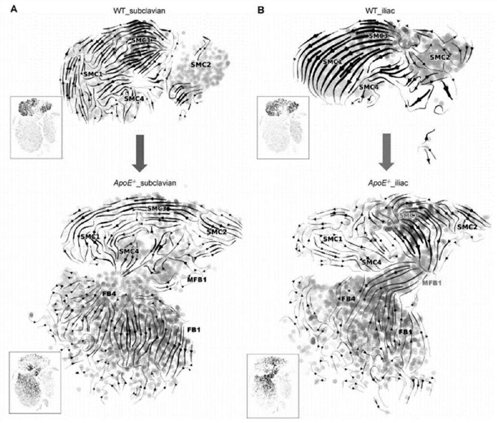 Atherosclerosis-related cell marker molecules and their applications