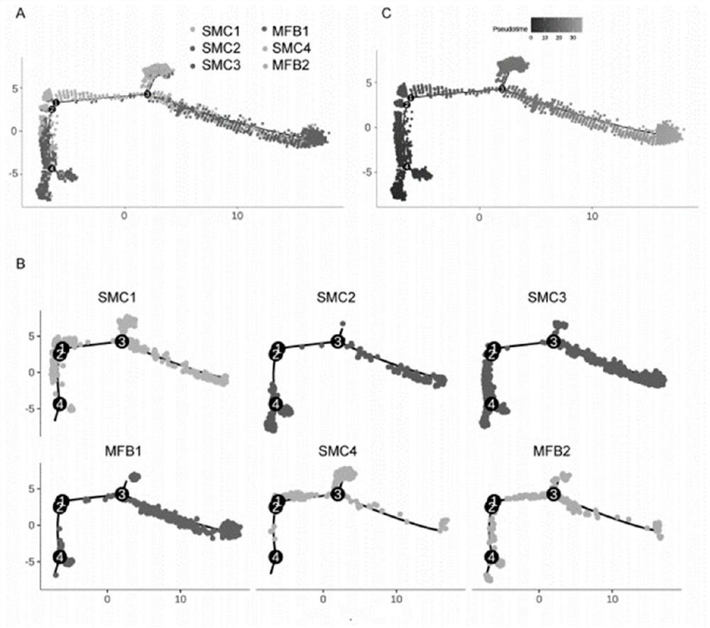 Atherosclerosis-related cell marker molecules and their applications