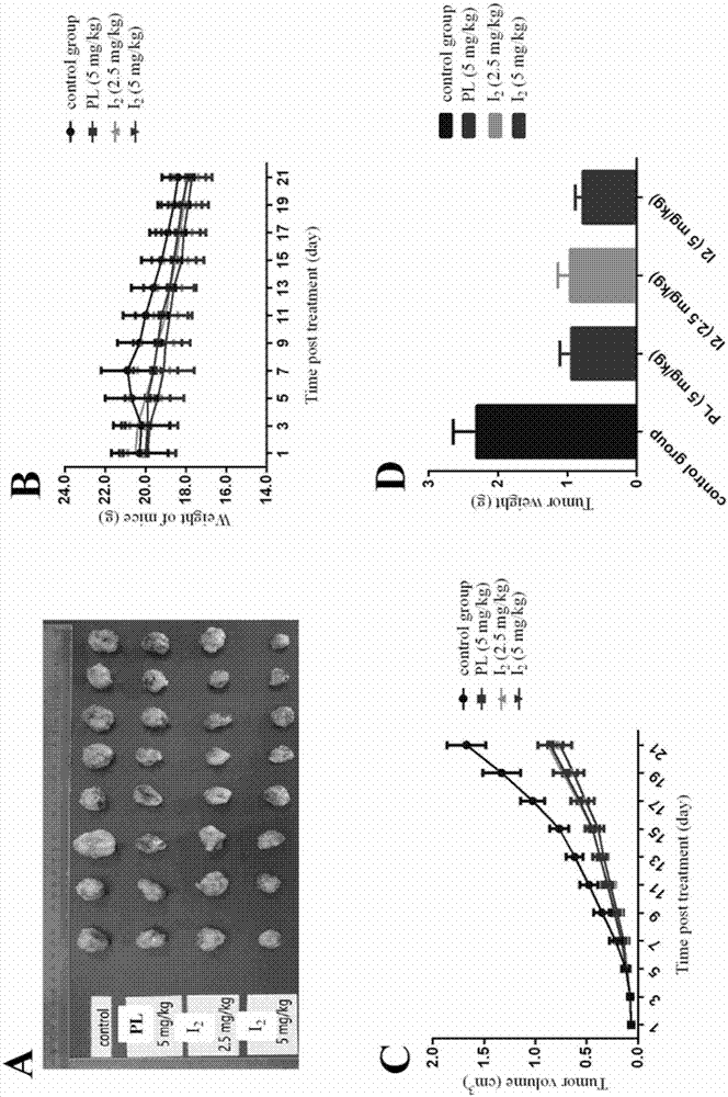 Piperlongumine-ligustrazine heterocomplex, preparation method and medical application