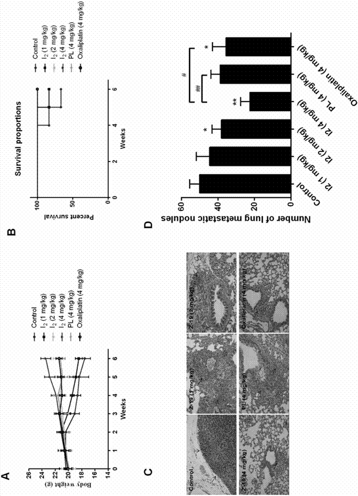 Piperlongumine-ligustrazine heterocomplex, preparation method and medical application