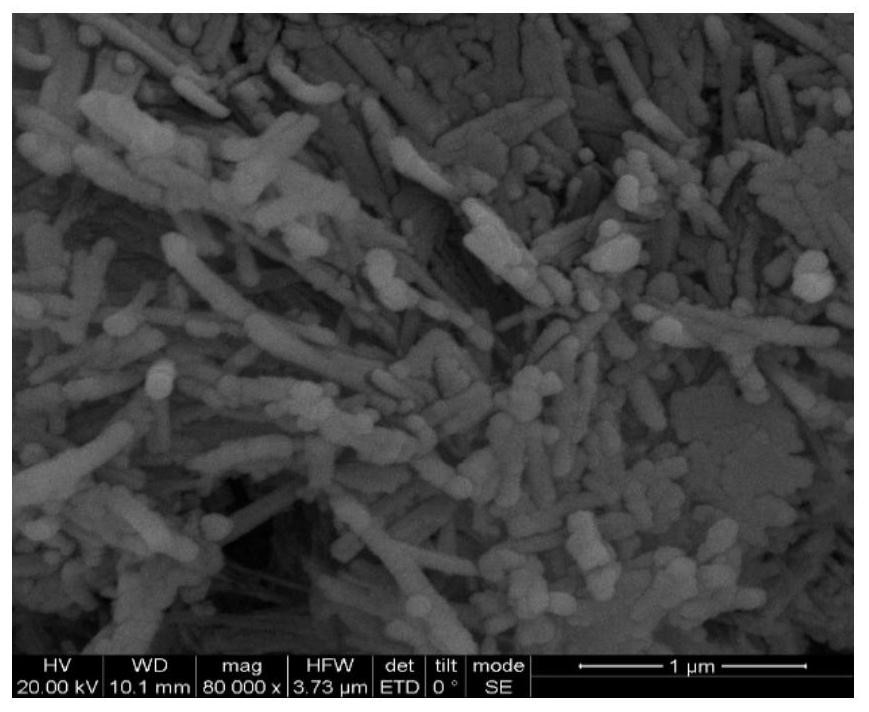 A kind of inorganic rapid hemostasis material and preparation method thereof