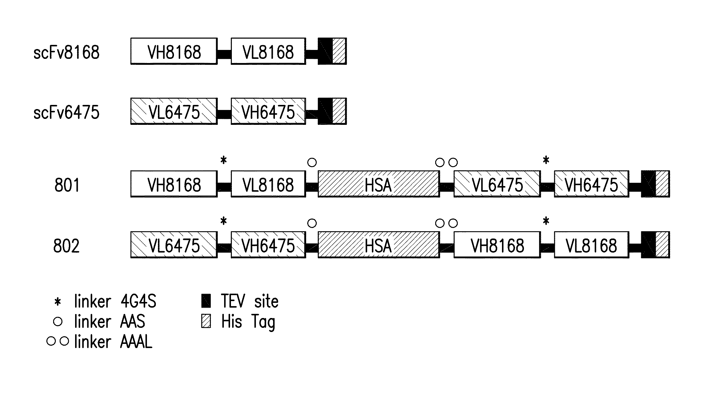 Low density lipoprotein-related protein 6 (LRP6)-half life extender constructs