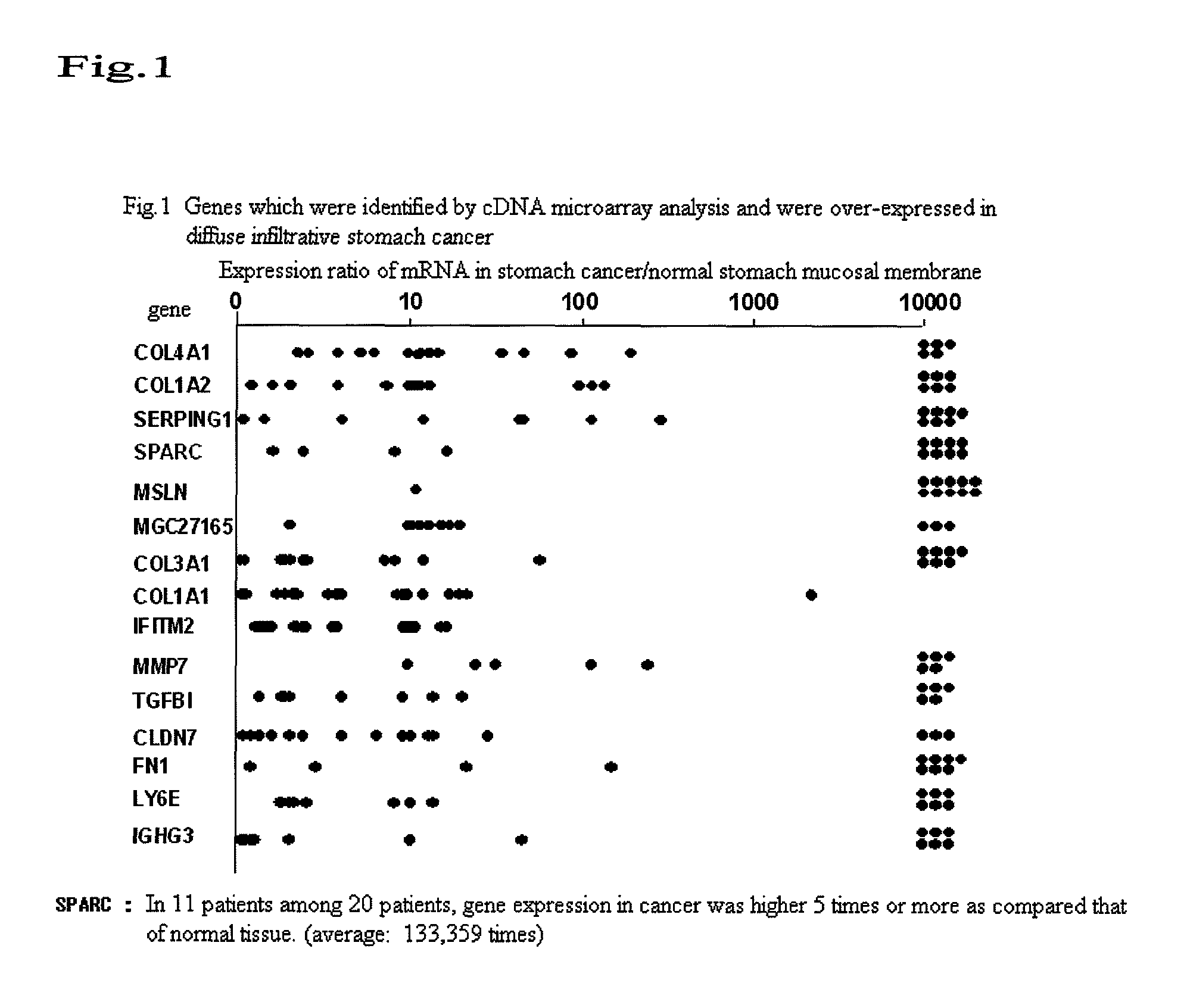 SPARC-derived tumor rejection antigenic peptides and medicaments comprising the same