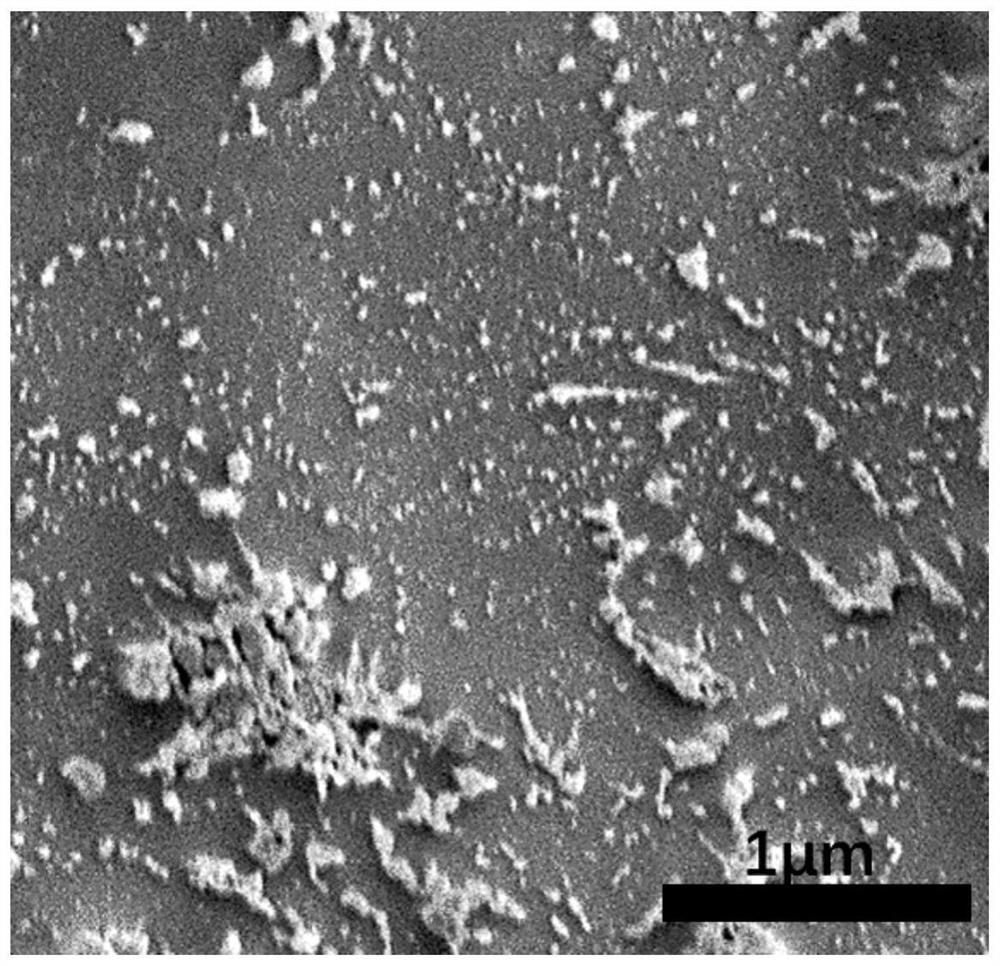 High-permeability friction nano sensor and preparation method thereof