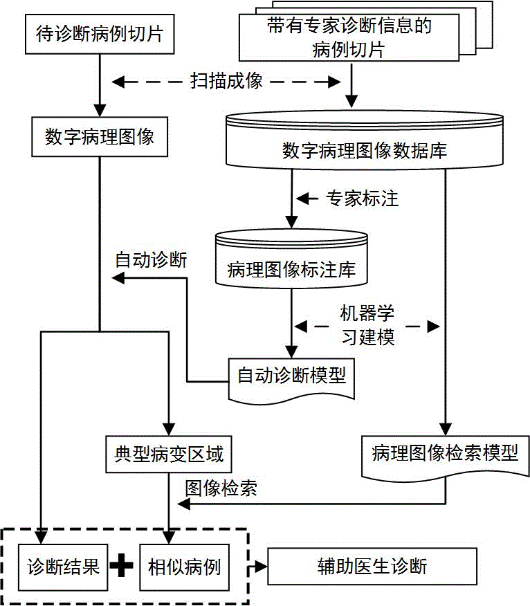 Auxiliary cancer diagnosis method based on digital pathological images