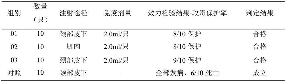 A kind of goose astrovirus virus strain and its application