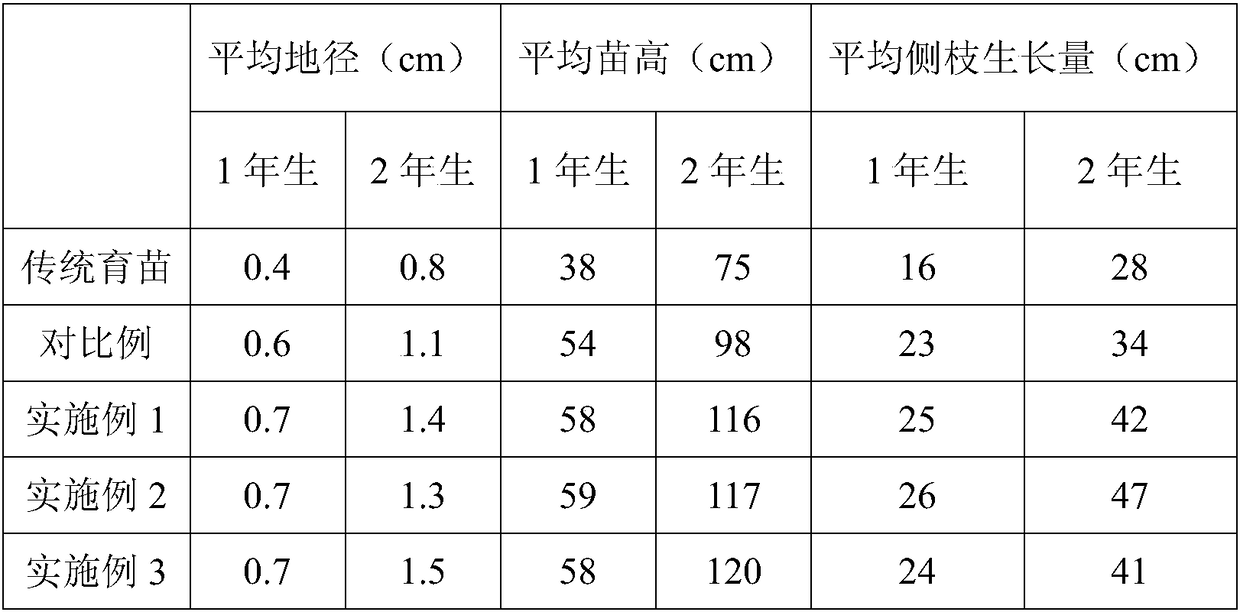 Method for cultivating bud seedlings of Zelkove schneideriana Hand trees