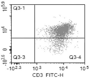 DC cell preparation method for improving antigen presenting T cell and improving T cell killing efficiency and application thereof