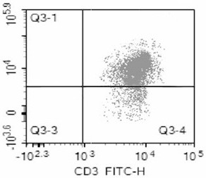 DC cell preparation method for improving antigen presenting T cell and improving T cell killing efficiency and application thereof