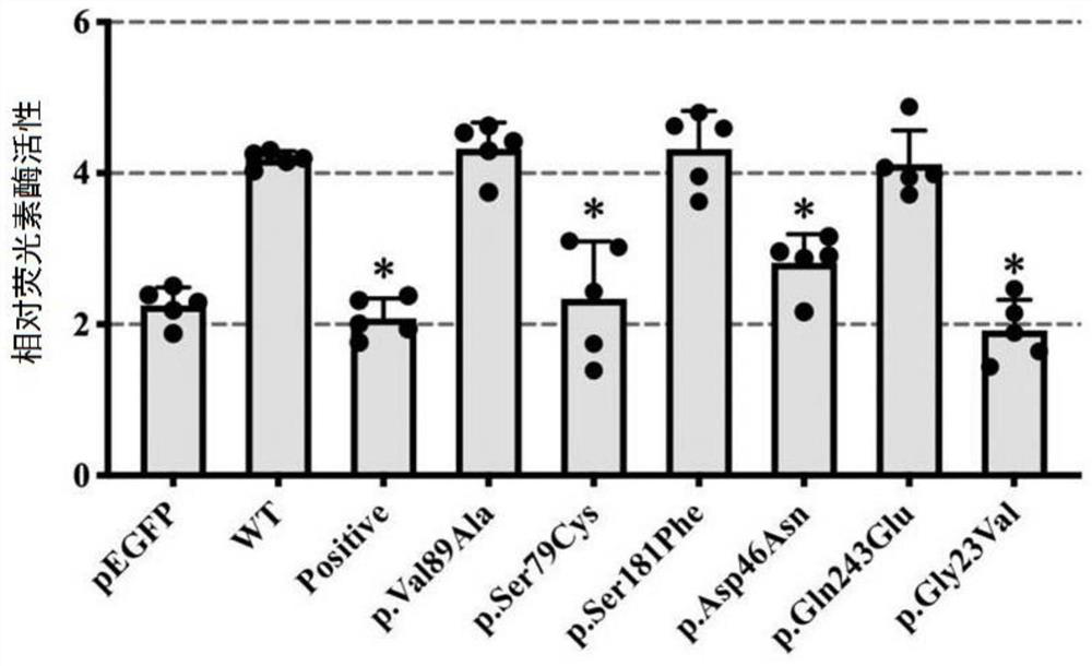 Gene mutation combination serving as marker of MRKH syndrome and application of gene mutation combination