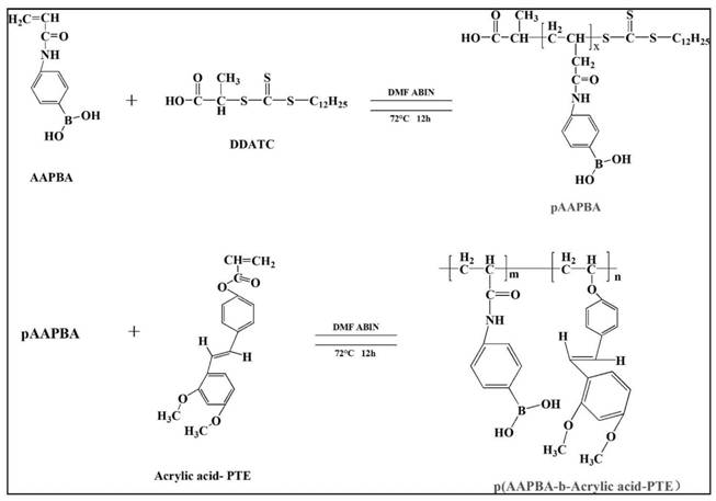 Preparation method of acryloyl chloride esterified traditional Chinese medicine monomer pterostilbene