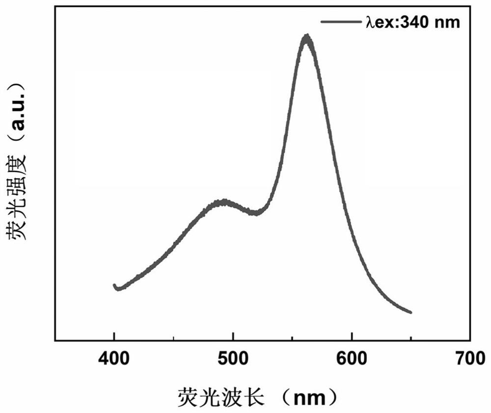 Fluorescence detection method of sulfur ions and application thereof