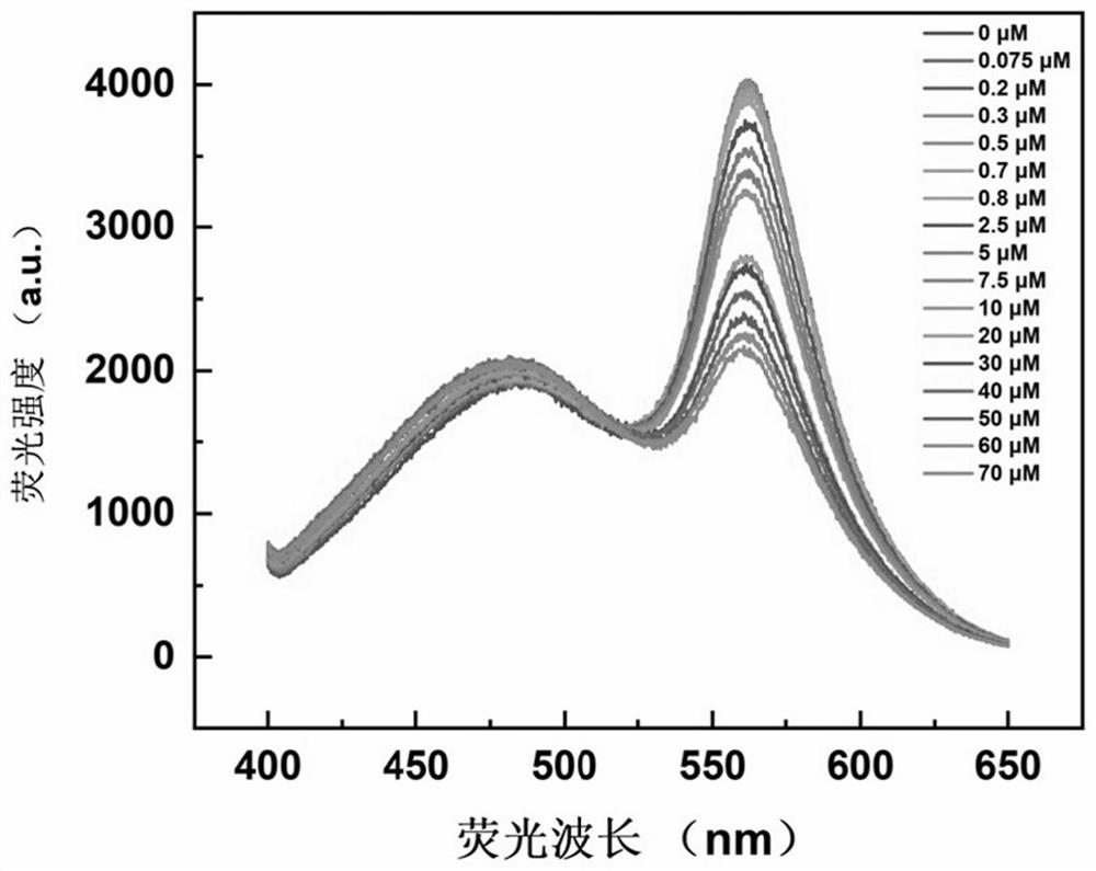 Fluorescence detection method of sulfur ions and application thereof