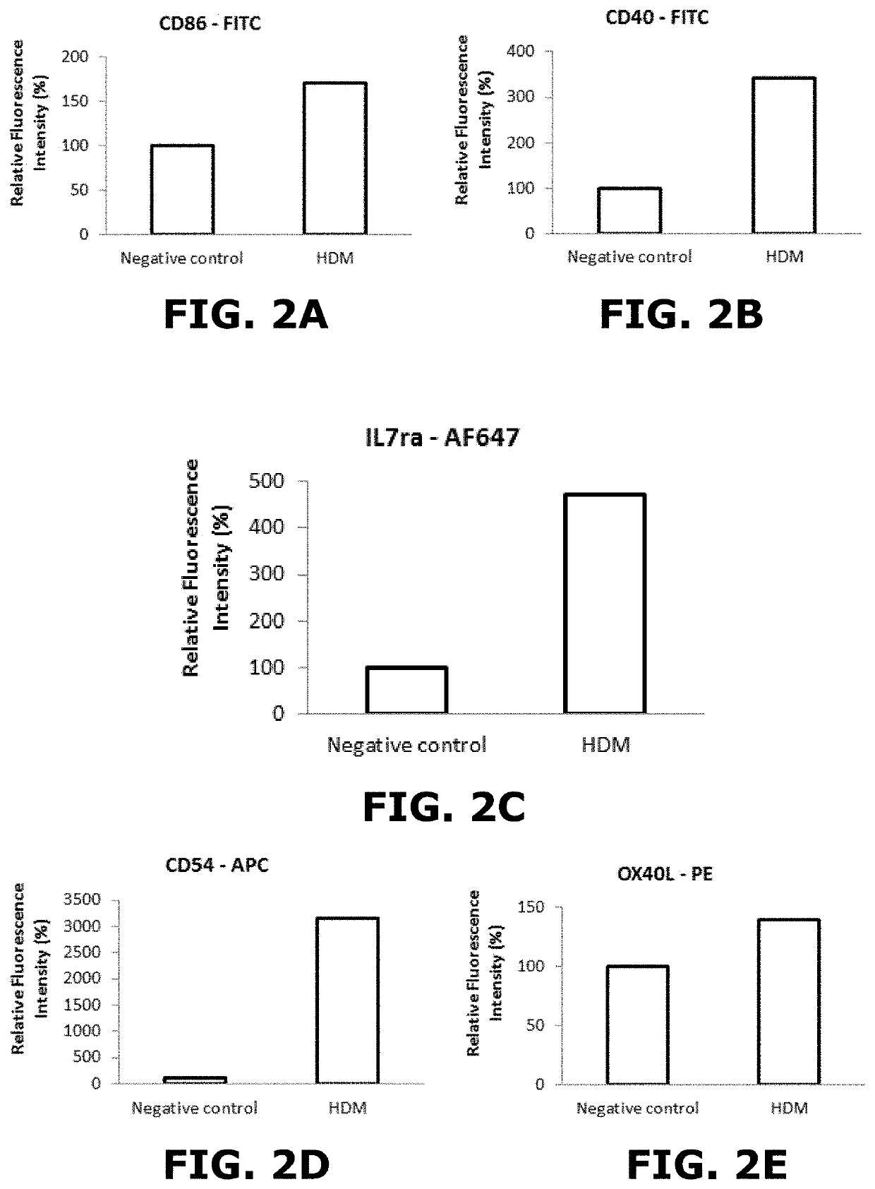 Three-dimensional in vitro lung model, process for preparing said model, and its use for determining and /or predicting the sensitizing effects of inhalable products