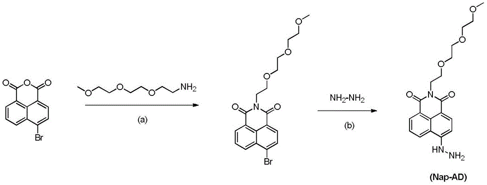 Fluorescent probe for detecting formaldehyde as well as preparation method and application of fluorescent probe