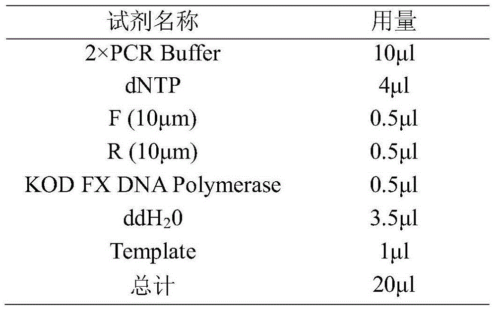 Primers and method for detecting 79th site, 208th site and 435th site of CDA gene