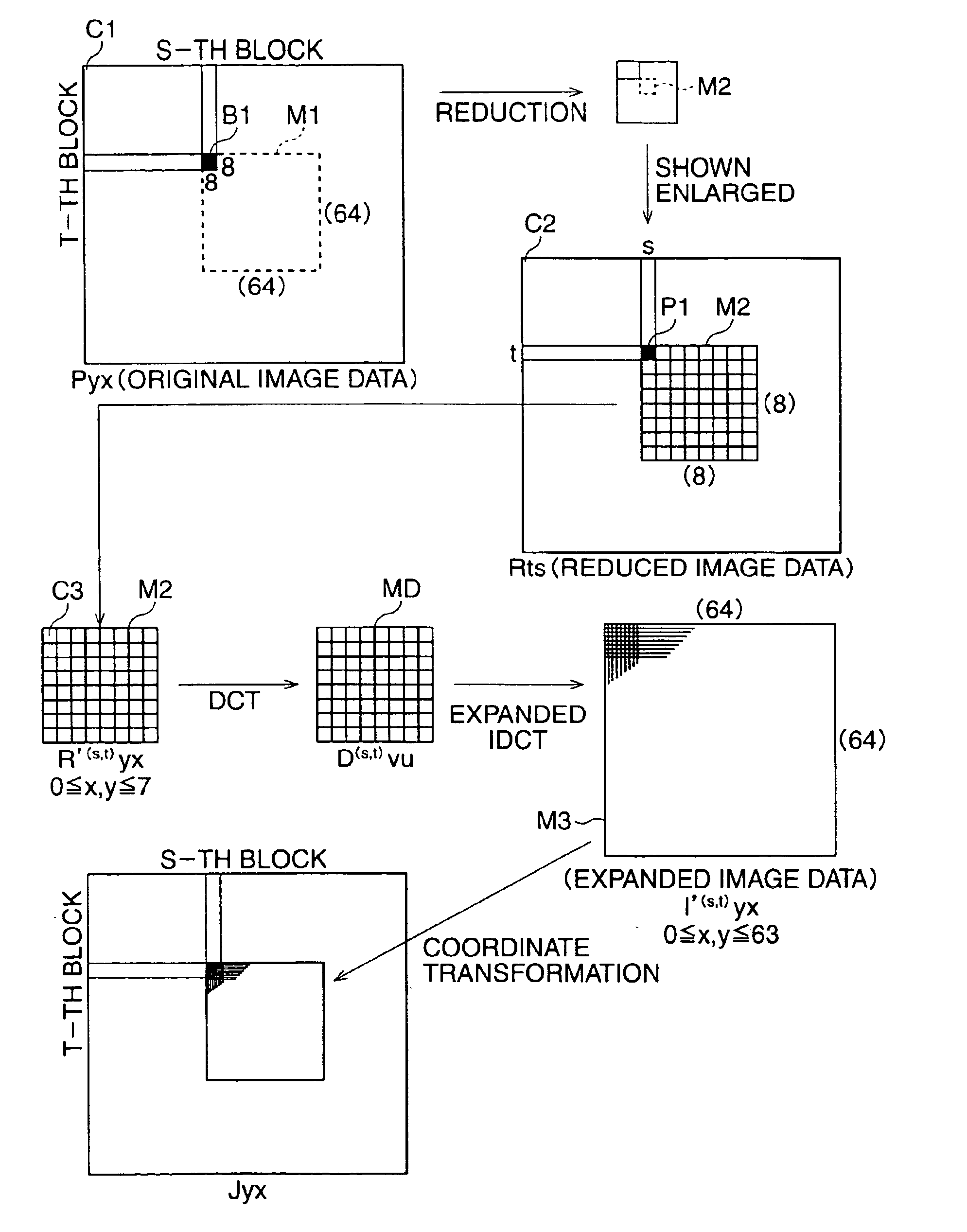 Image compression and expansion apparatus and pixel number increasing apparatus